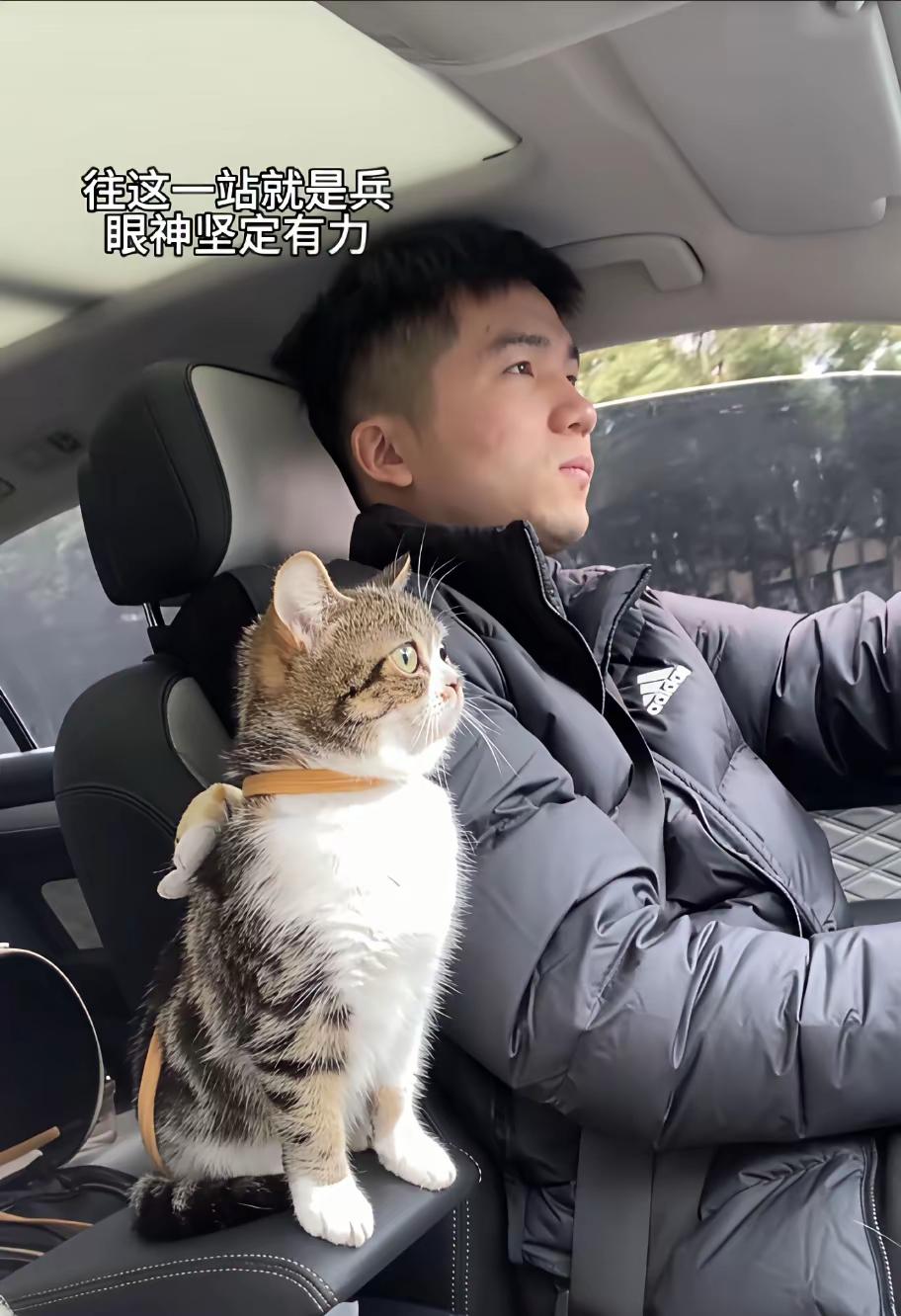男子带猫咪回老家，一路上猫咪都是这个样子，眼珠子瞪得溜圆注视着前方，那个认真劲儿