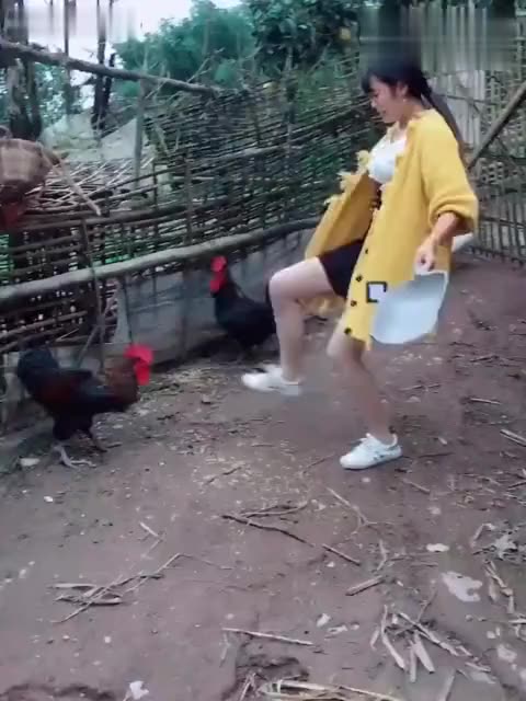 4、网吧局域网组建