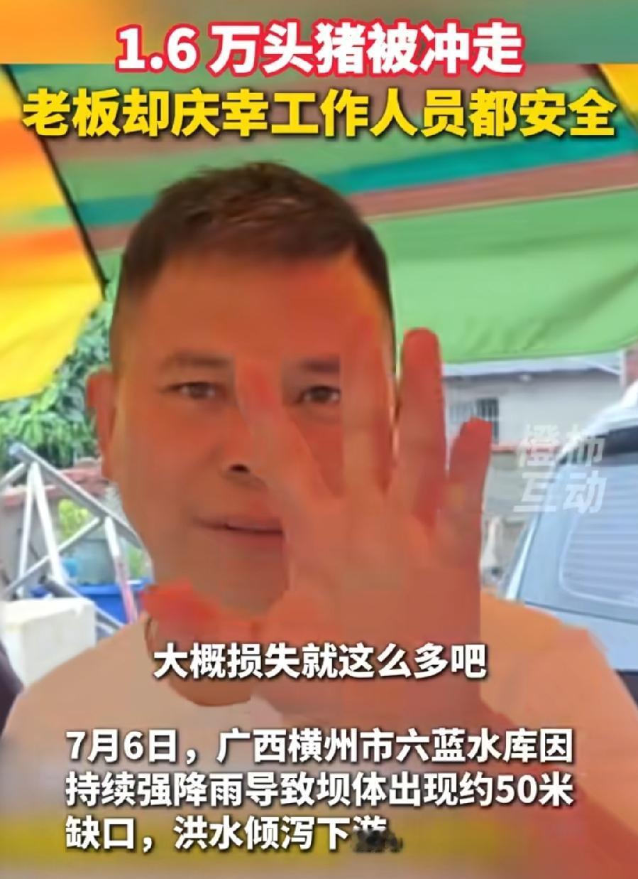 州1.6万头猪被冲走，损失5000万？养殖场谢老板，面对镜头伸出了5个手指头，其