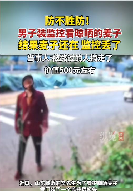 “真是个悲伤的故事！”6月16日报道，山东临沂，一男子家刚收了麦子，放在路边晾晒
