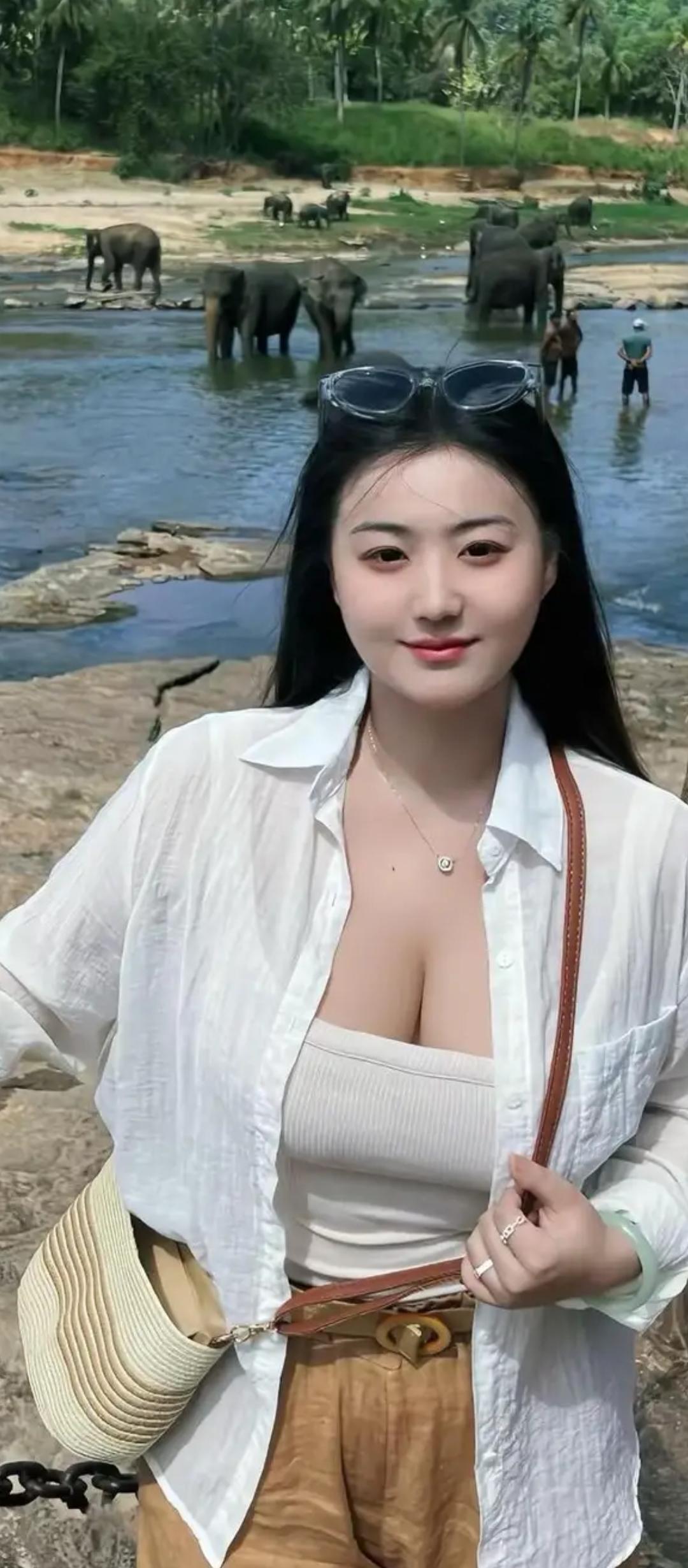 在热带雨林的怀抱中，与大象亲密接触，感受大自然的魅力！🐘🌴💙