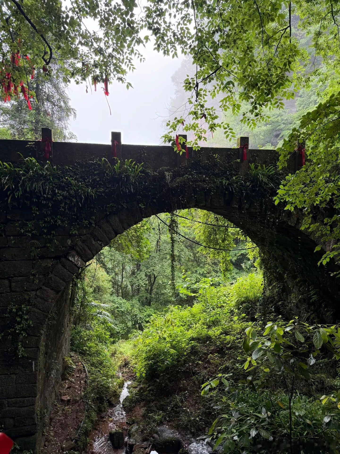 黄山旁藏着冷门避暑仙山齐云山，常年25℃太舒服！丹霞岩壁搭配千年道观，崖上天街