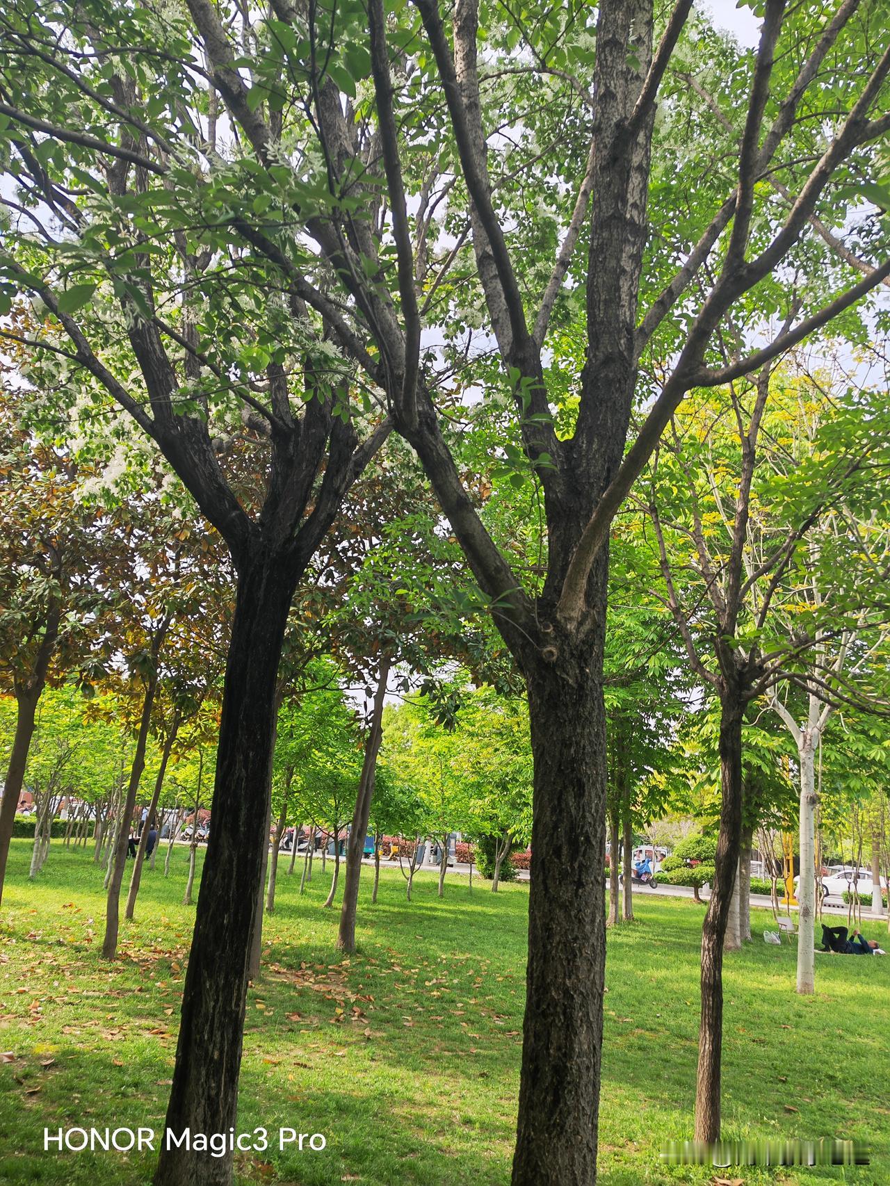 电动车也会串钥匙吗？昨天去公园散步，出来的时候，碰见两个女（暂