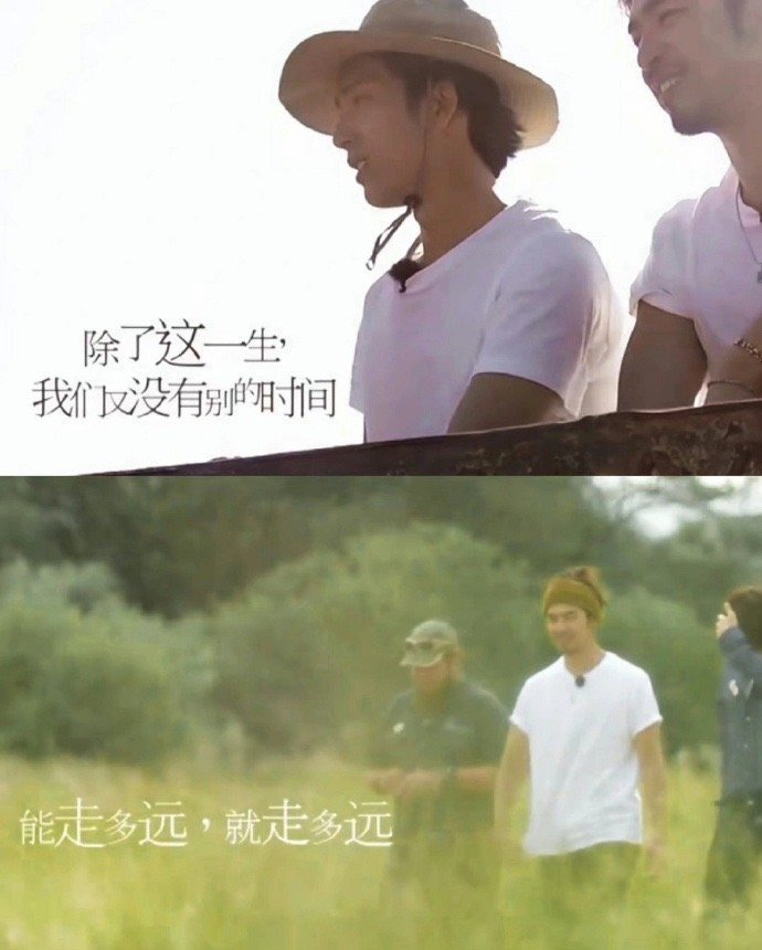 芒果台的文案到底谁在写！简直就是内娱教科书‼️