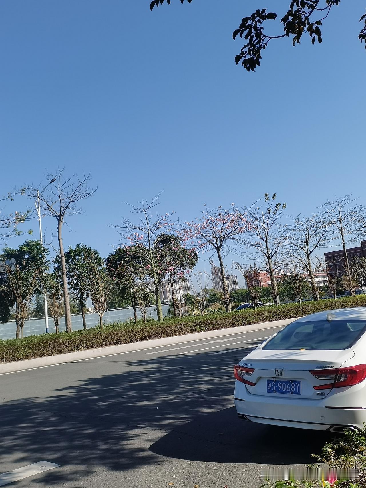 办理房贷时，我贷了50万，那时我手里有10万存款，大家都劝我把那10万加进去，只