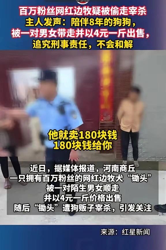 近日河南商丘发生一起牵动网友心绪的案件，陪伴主人八年、坐拥百万粉丝的网红边牧“锄
