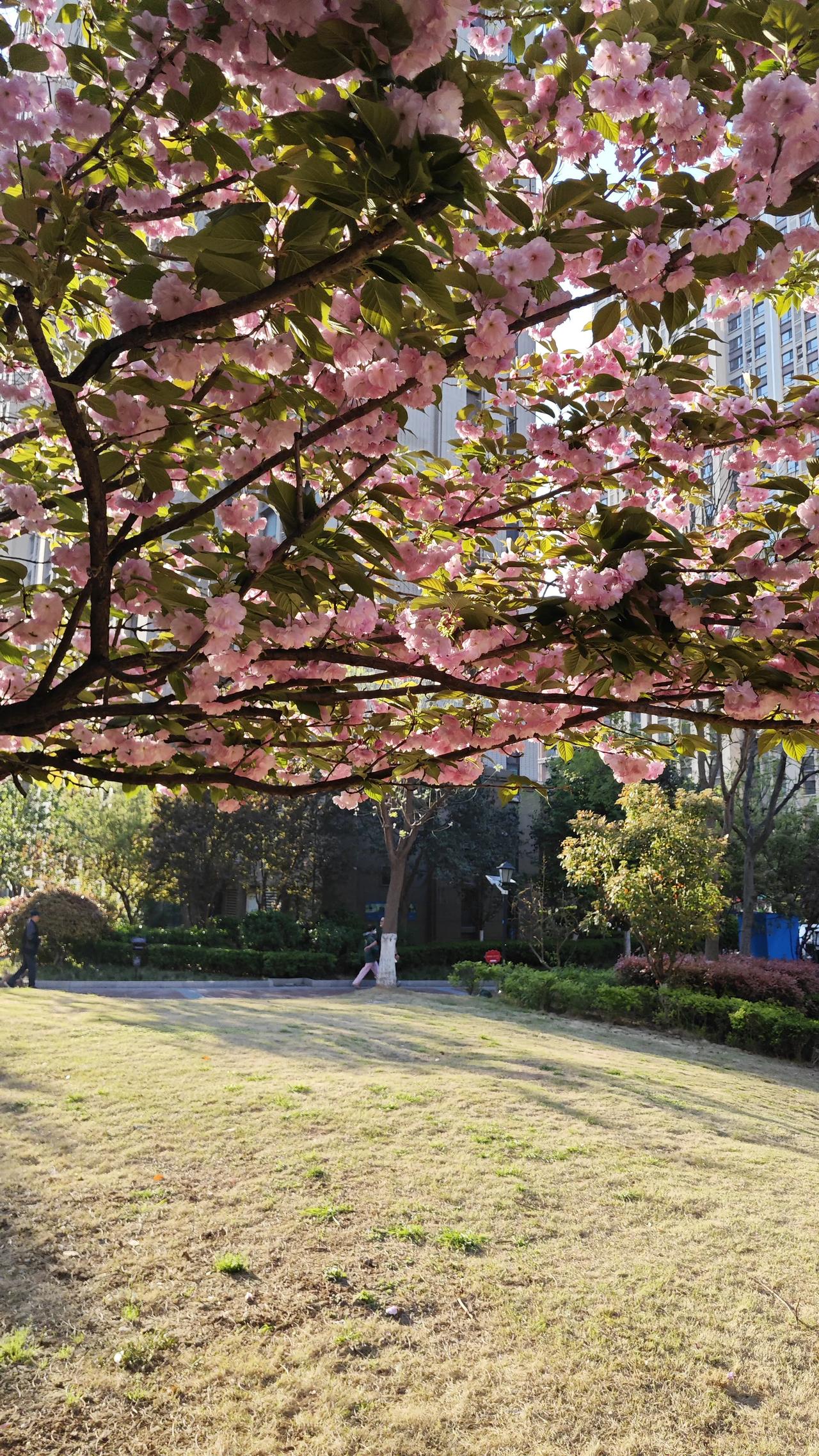 弘一法师晚年，有人问他：“您看破了红尘，是不是对家人、对朋友、一点感情都没有了？