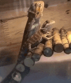 搞笑gif趣图: 淘气! 小心大圣打你扭屁股