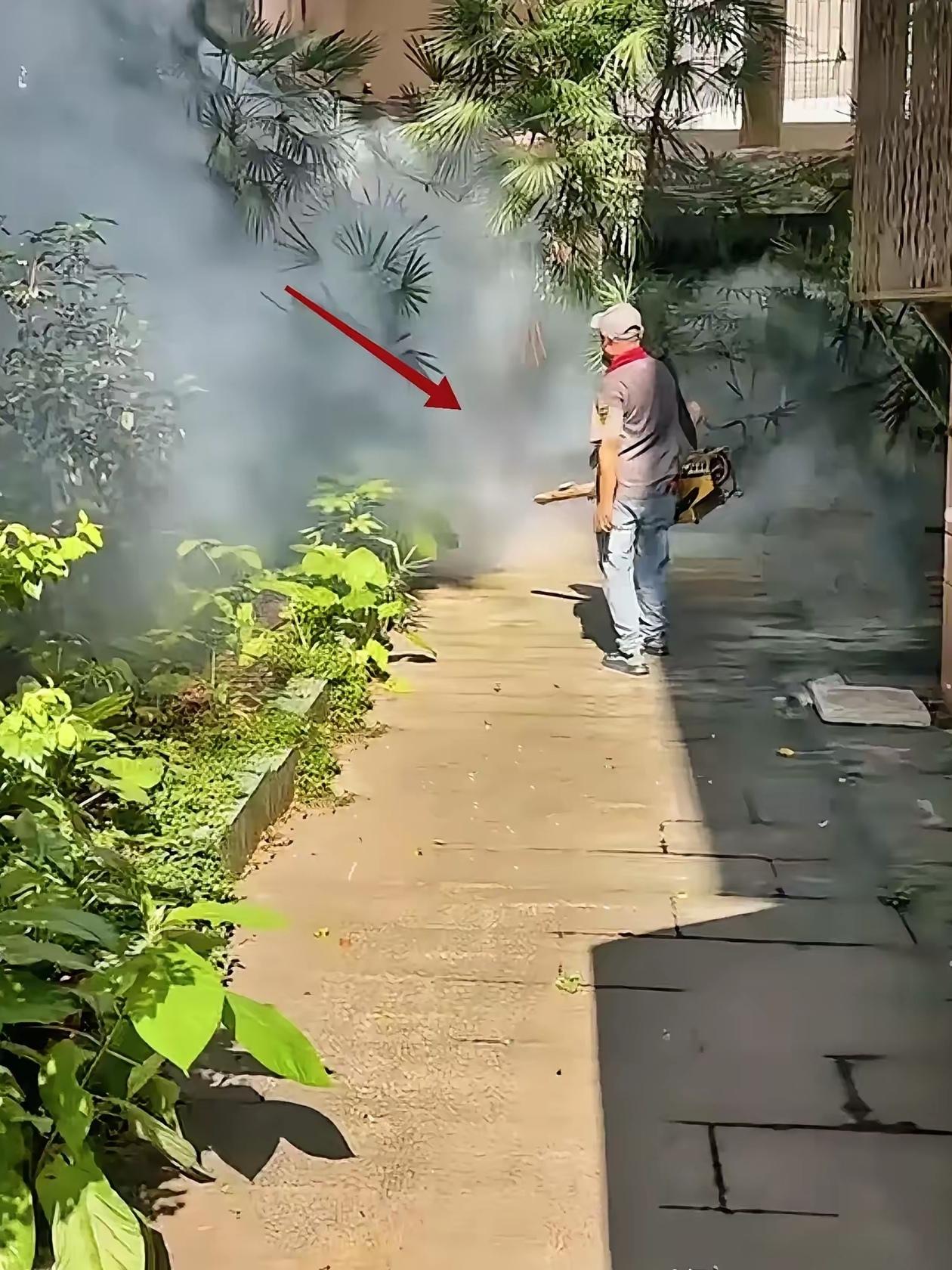这就是为什么生物链这么重要的原因！现在的夏天为什么蚊子多？一个很重要的原因是蚊
