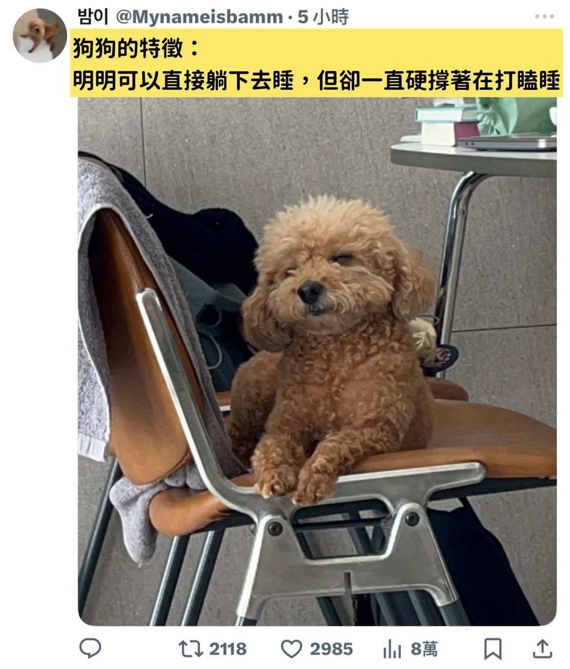 简直就是学生时代的我：meme​​​