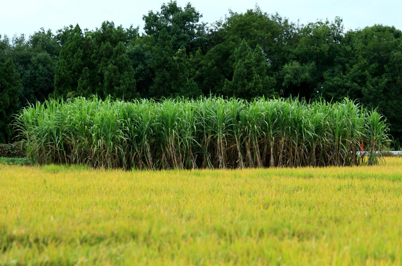 在所有抗衰的方法里提肛是最好的，在所有养胃的方法里揉肚是最好的，在所有润肤的方法
