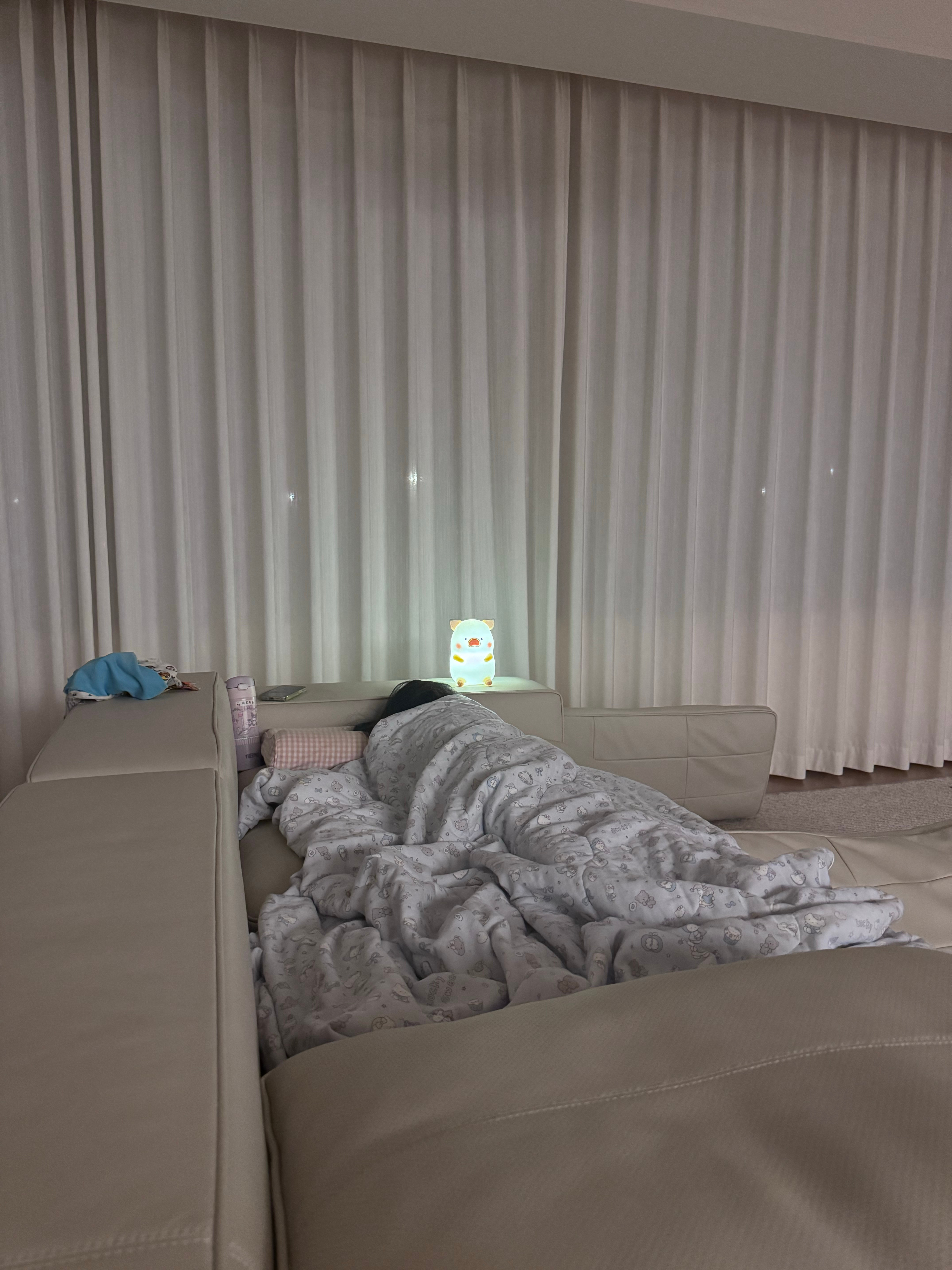 要睡沙发​​​