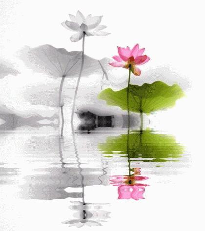 看透人性算不算觉醒开悟?答：不算，差得很远。开悟觉醒远比看透人性宏大得多，