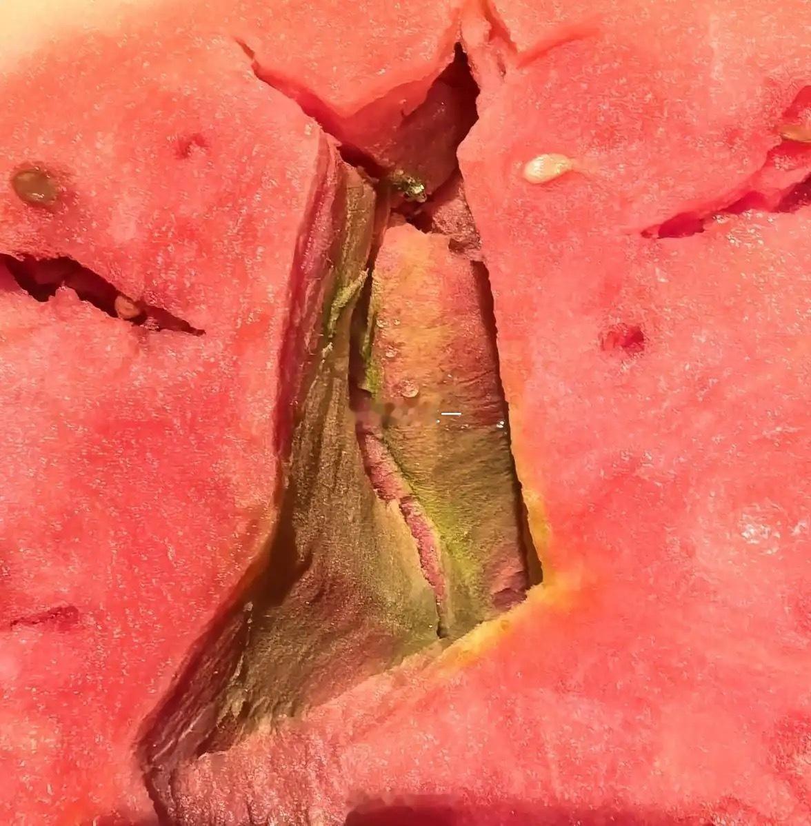 不懂就问，这样的西瓜还能吃吗？