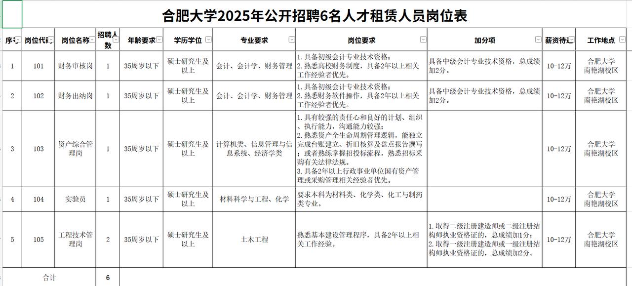 这应该是编外的新名词。合肥大学招聘人才租赁人员。这个人才租赁的招聘要求还不低，全