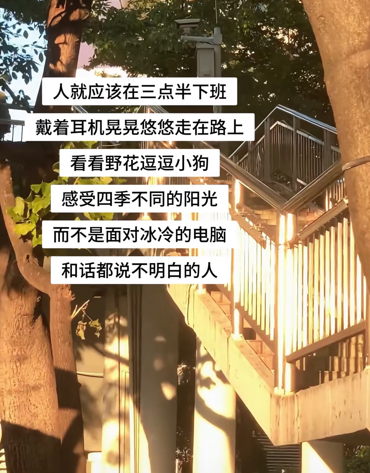 人就应该在三点半下班