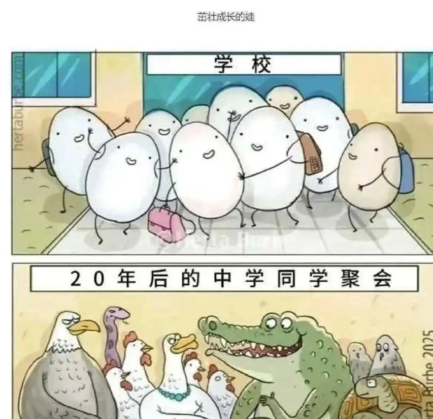 该是什么就是什么了，阶层分明。