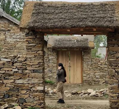 1962年，一古董商在一50岁寡妇家借宿，炎热难耐，寡妇好心为他铺了一张凉席，他