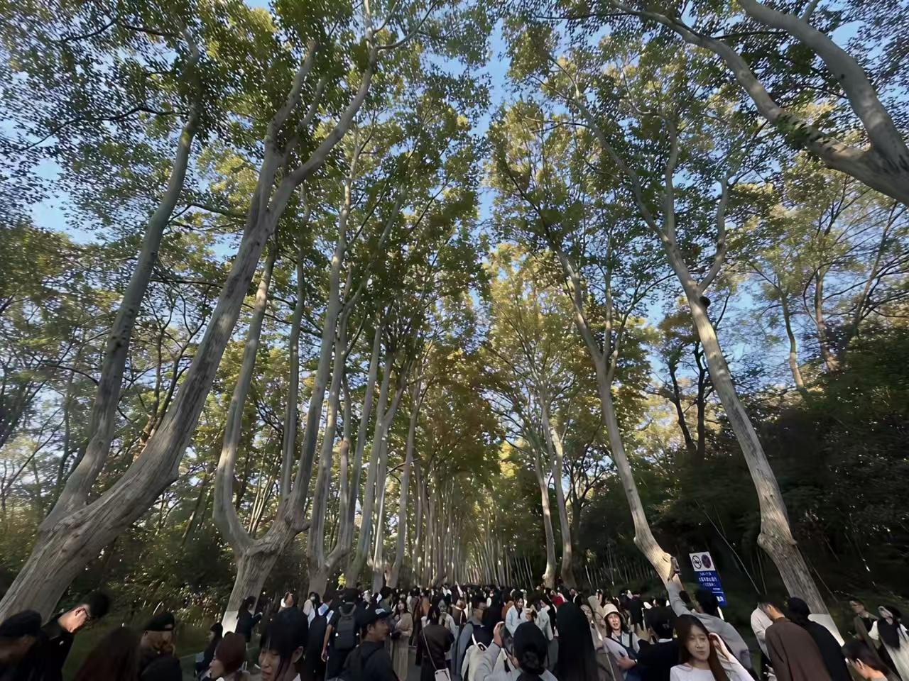 浙江头一回放秋假，没啥经验。放三天，连着周末一共五天。这期间，北京沦陷，迪士尼沦