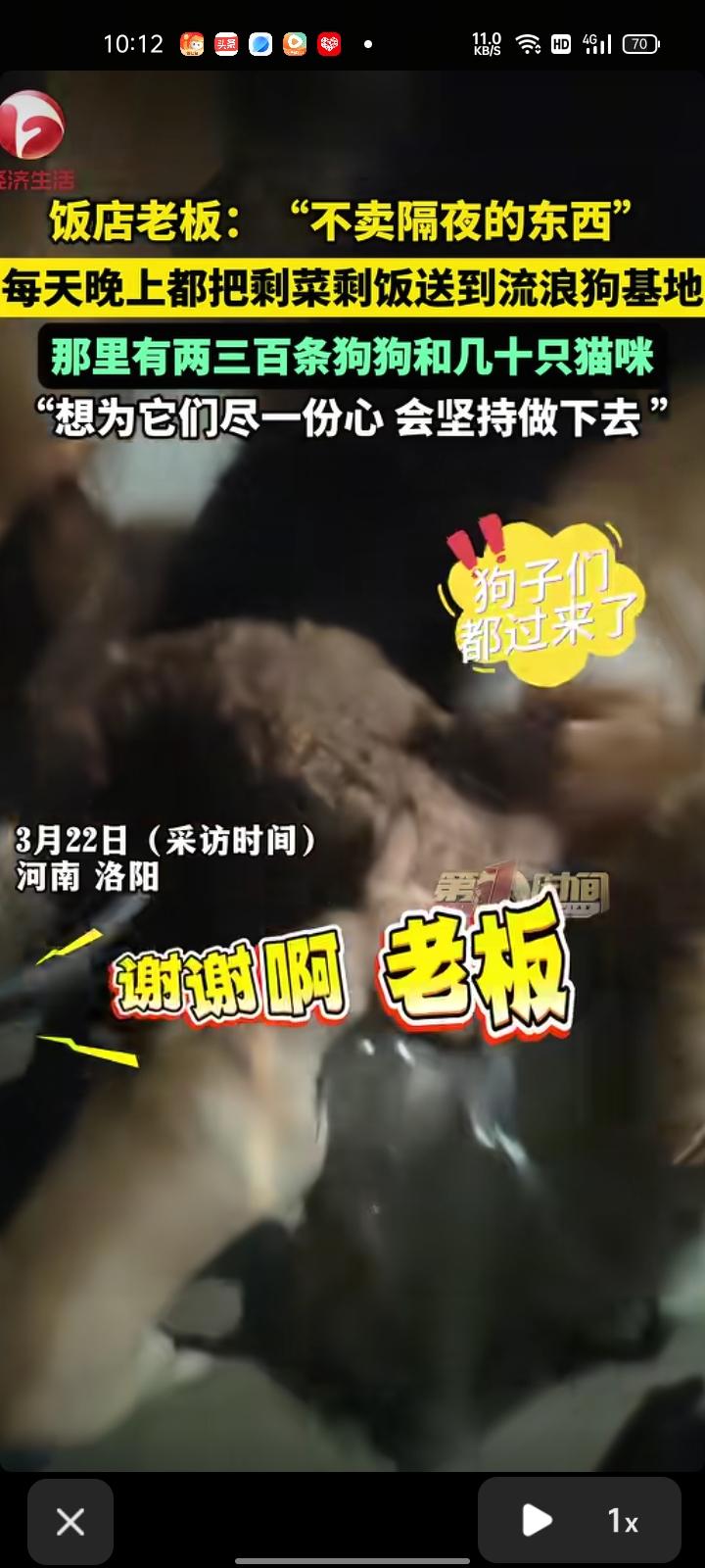 3月23日，河南洛阳。饭店老板声称不卖隔夜的东西，每晚都把剩菜剩饭都送到流浪狗基