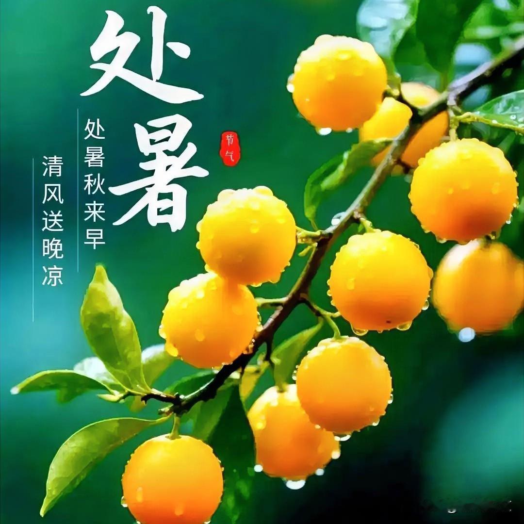 老话“早处暑凉飕飕，晚处暑热死牛”，今年处暑算早还是晚？农村种地的老乡，