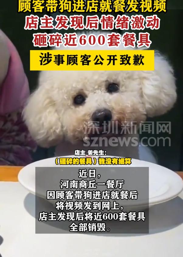 “太坑人了！”河南商丘，一女子带着小狗去饭店就餐，事后还把视频发到了网上，没成想