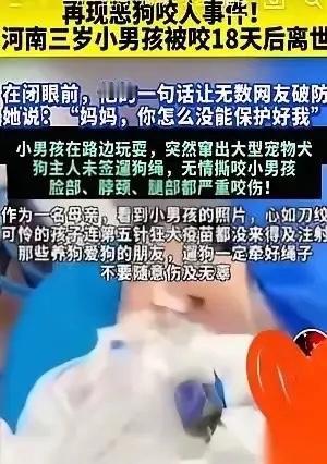 再现恶狗咬人事件！河南三岁小男孩被咬18天后离世在闭眼前，他的一句话让无数网