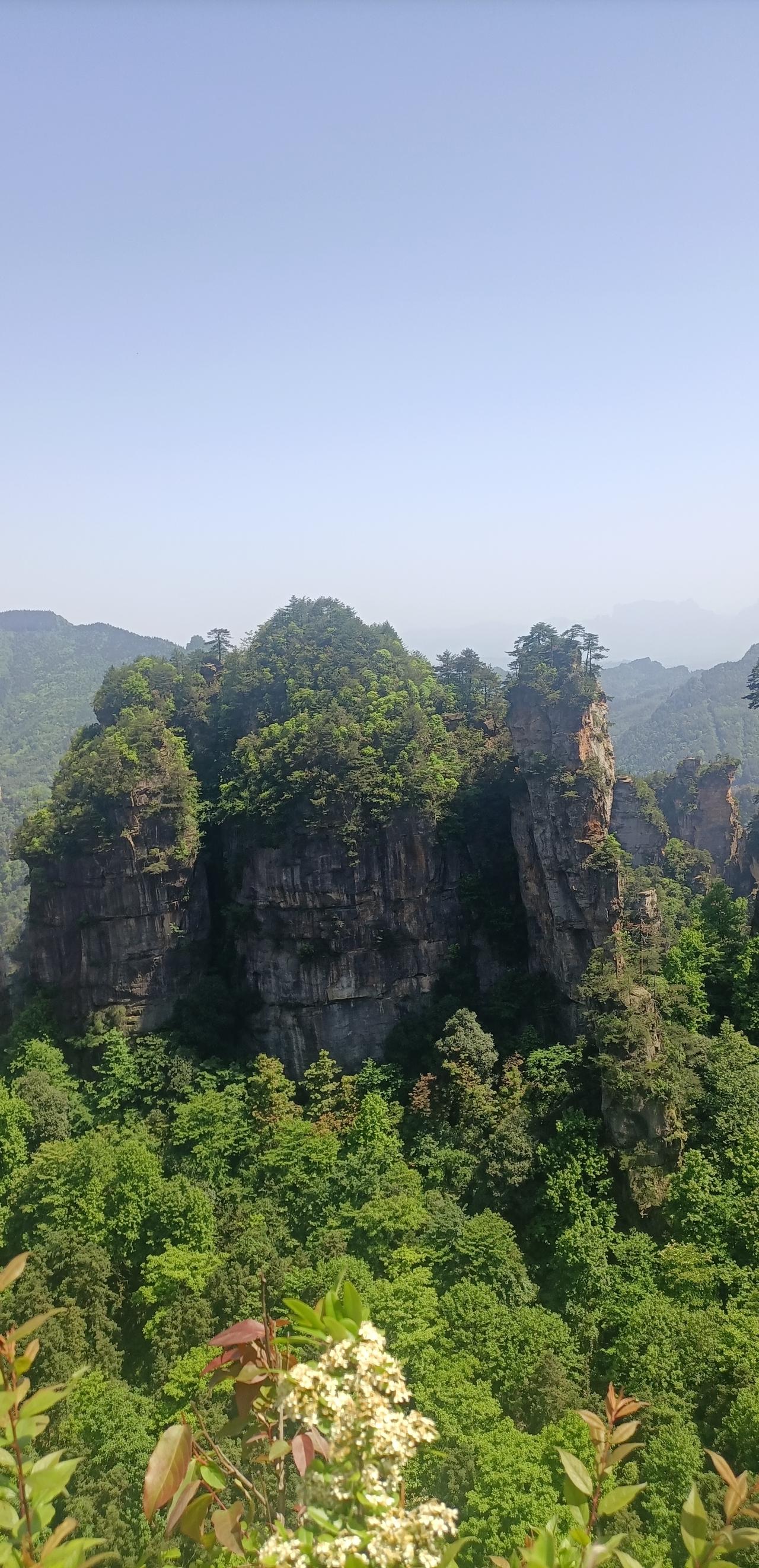【夏之韵·让心容纳山河与温柔】夏日生活打卡季所有的情绪内耗，都源于过度执念，