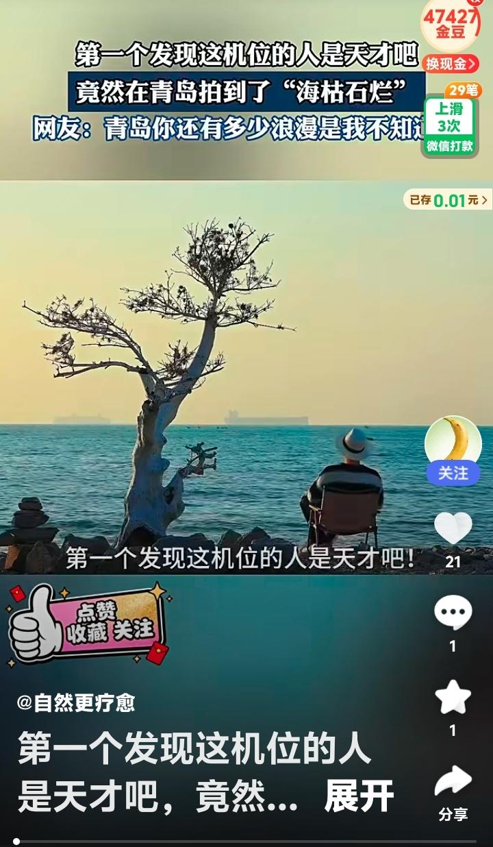 青岛海之恋公园东停车场惊现神级机位！蹲下三倍镜锁定“海枯石烂”，网友直呼浪漫天花