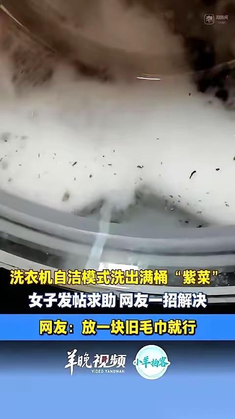 浙江金华的刘女士，按下了洗衣机上那个叫“自洁”的按钮。一个多小时后，程序结束，她