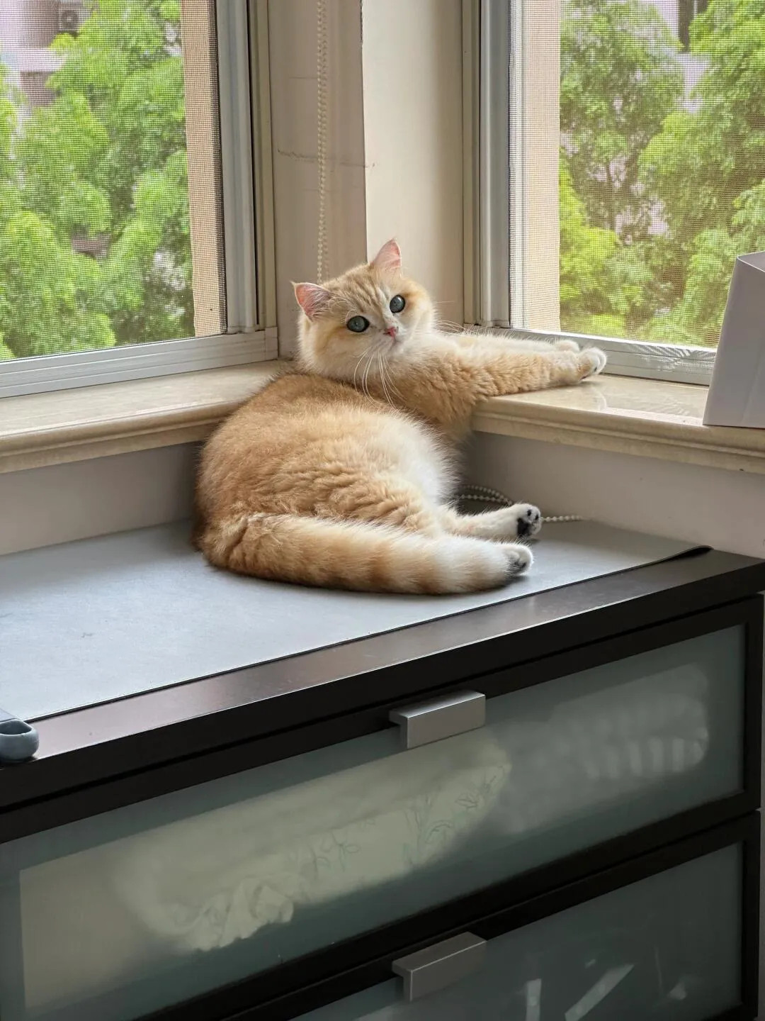 这个意思就是让你开空调！