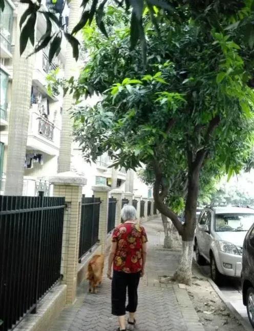周六回老家，刚进小区，偶遇一个身体佝偻，满脸皱纹的妇人，总感觉似曾相识。我仔细
