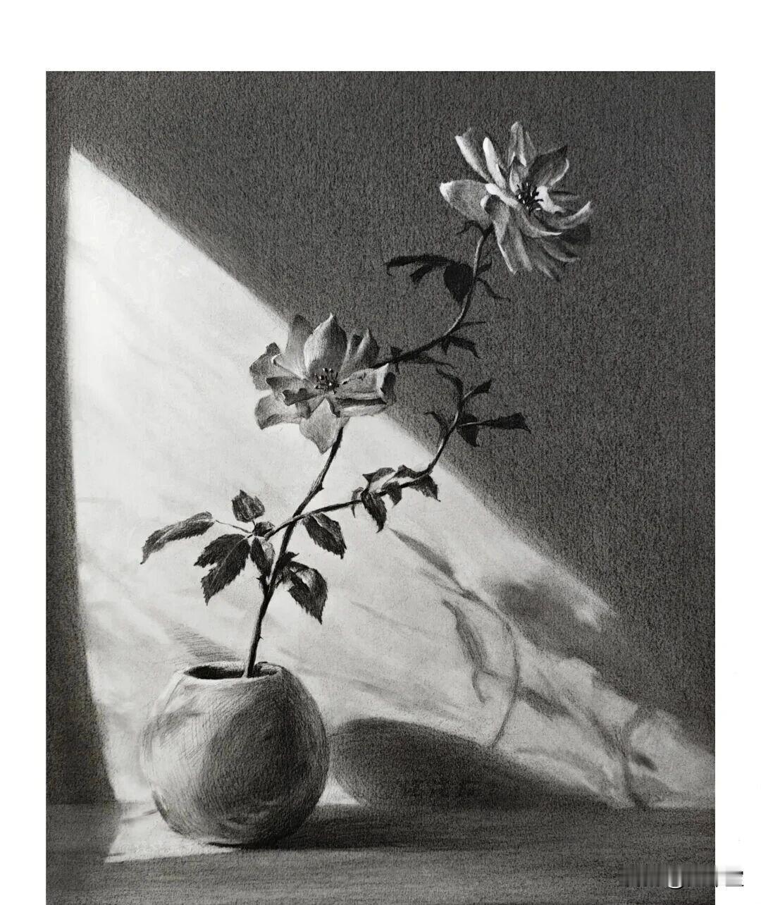 说个伤人的老实话，很多人觉得过了40岁，人生就过去一半了，事实是，很多人根