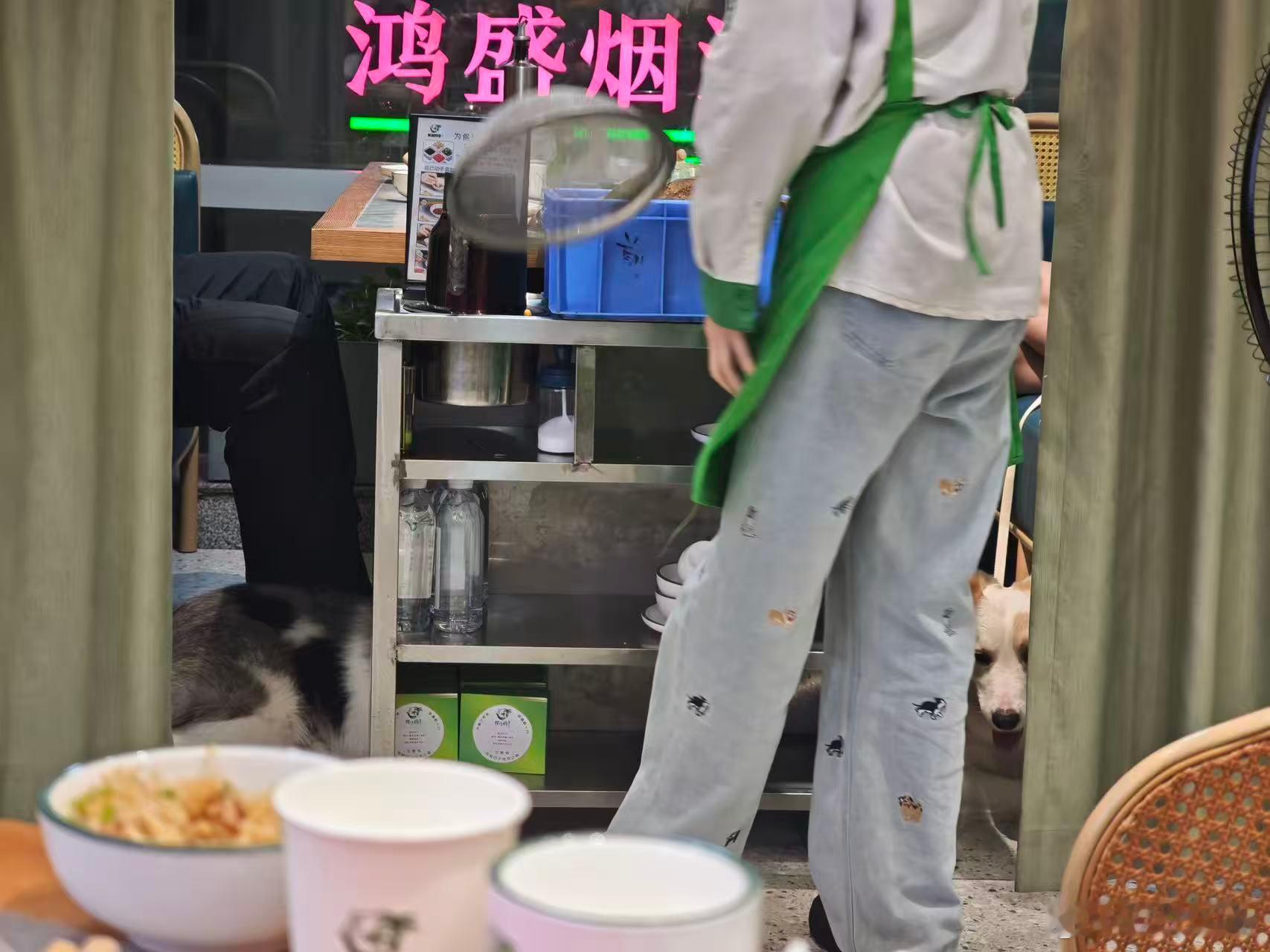 长沙某店又发生带狗坐沙发就餐长沙岳麓这家椰子鸡店又出现带狗就餐事件。8月13日晚
