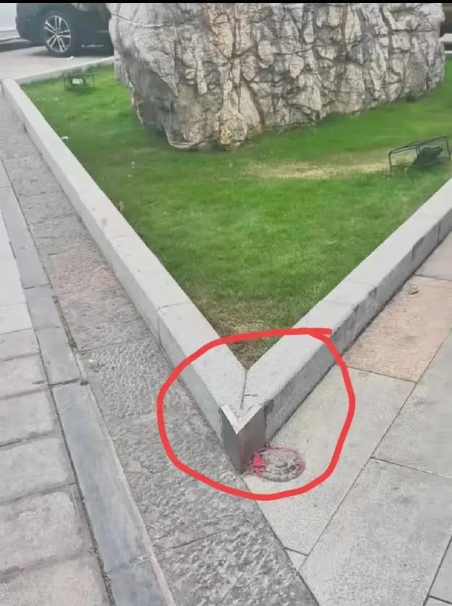 现在阿猫阿狗都可以当设计师了吗？拐弯衔接处用锐角也就算了，还在角上面包一圈不锈钢