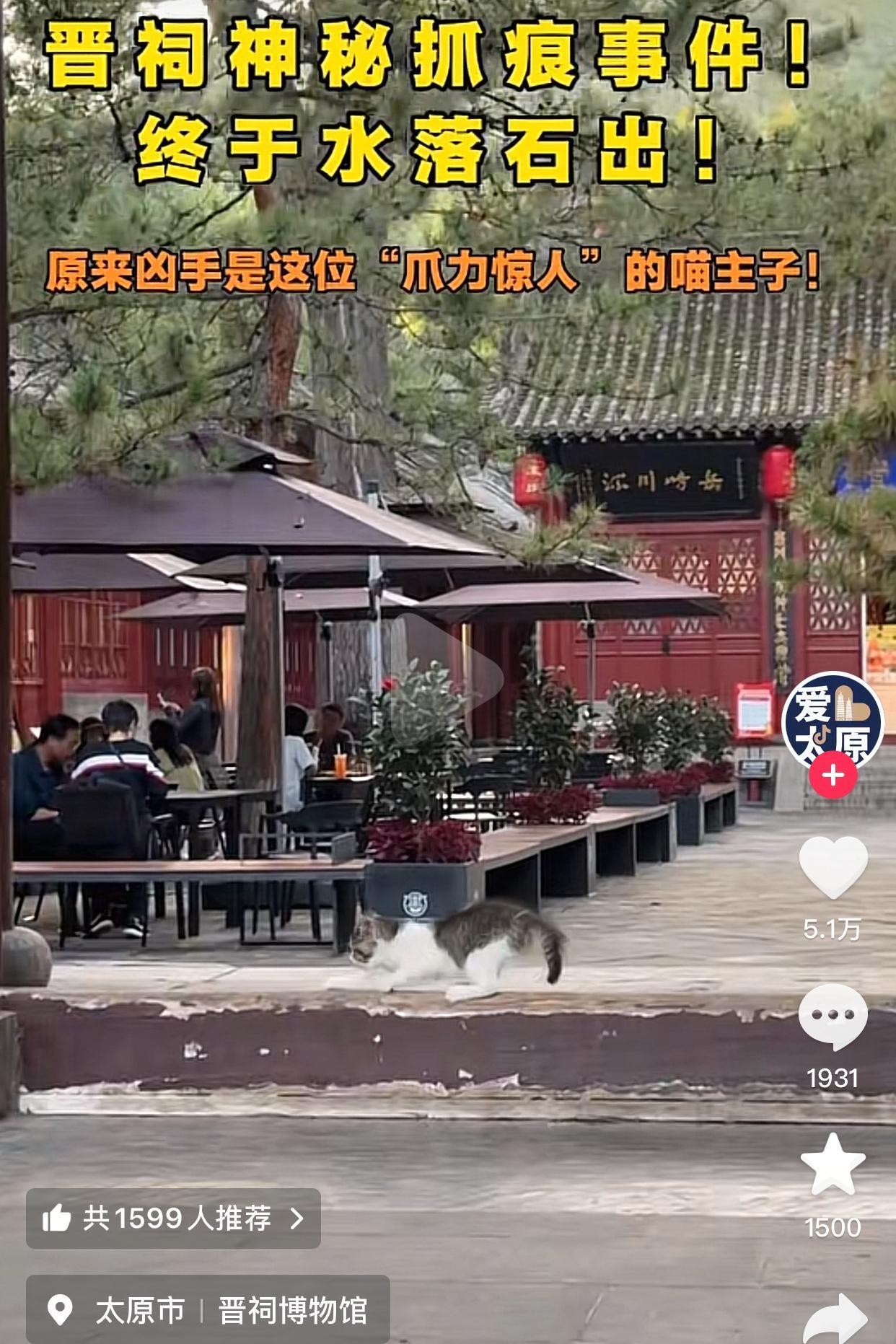 晋祠的抓痕破案啦原本大家都七嘴八舌猜测来源，最后发现竟是猫咪的“杰作”，这事