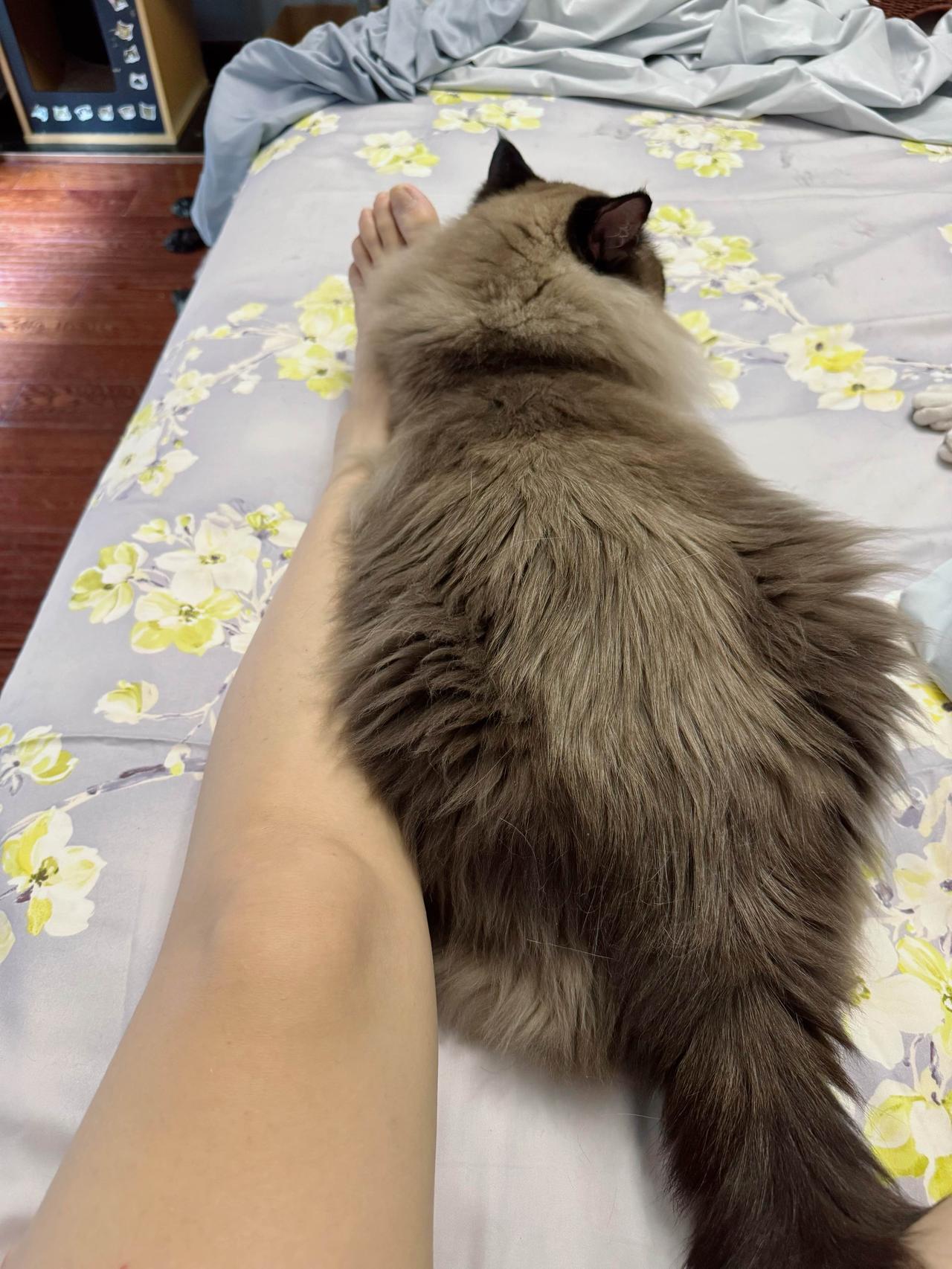 早上偏头痛犯了，眼睛完全看不清东西，躺了好久。