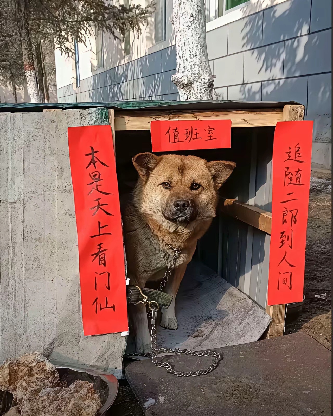 别人有的，我们也要有！