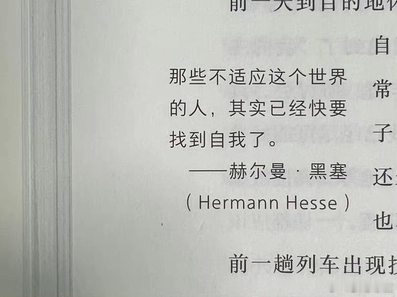 “那些不适应这个世界的人，其实已经快要找到自我了。”——《恰到好处的敏感》赫尔曼