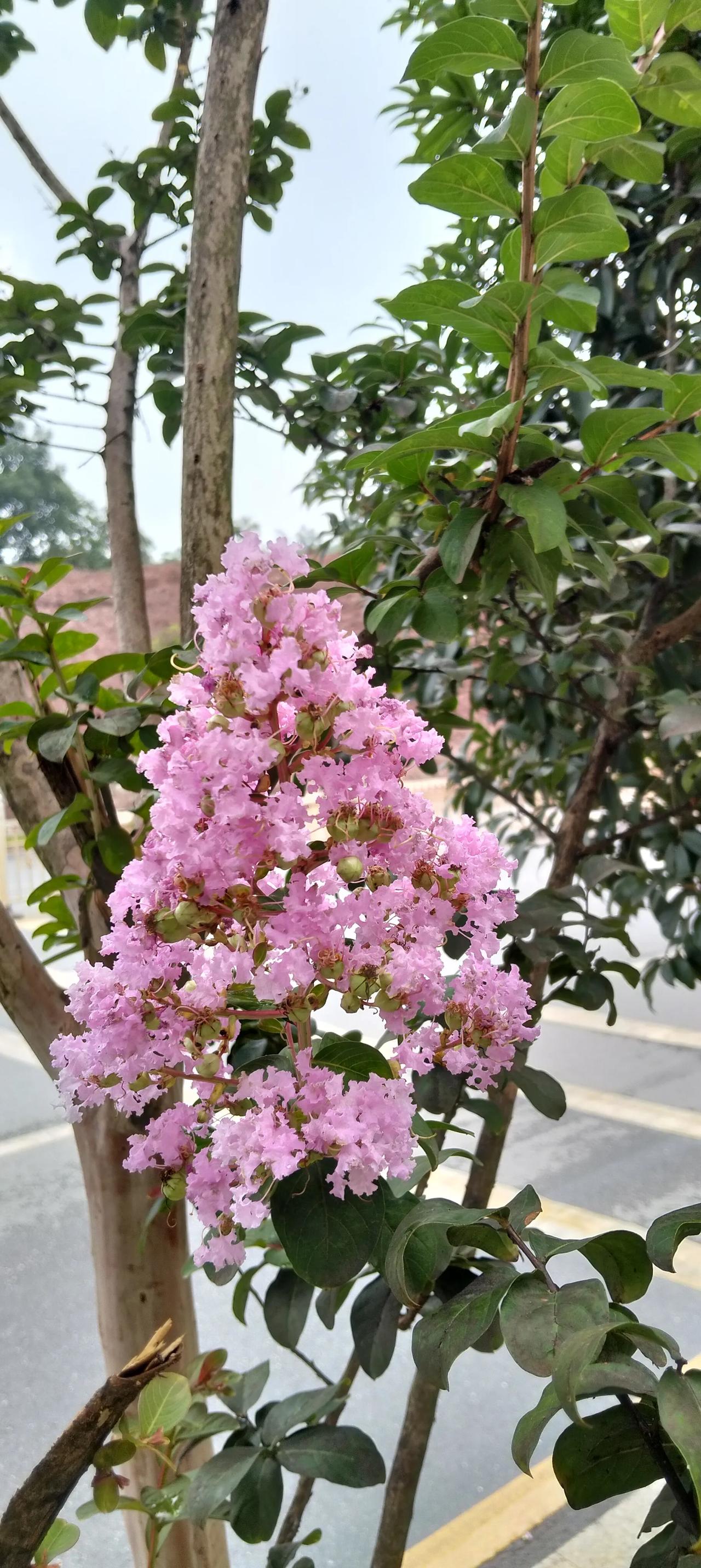 我身边有个女人，在她20岁时，父母得到一笔拆迁款，好像有三百多万，这在2000年
