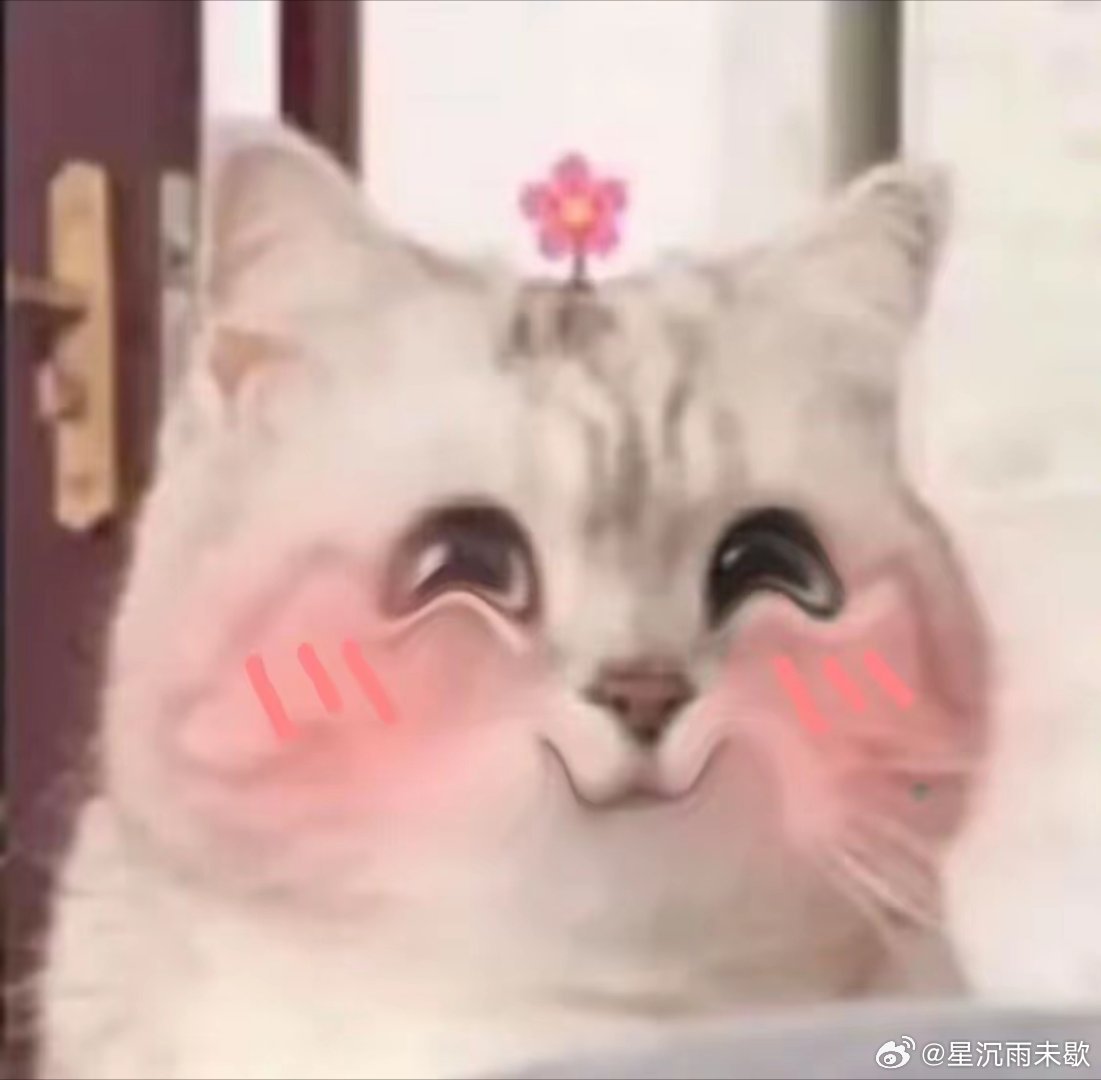 缺德表情包｜表情包｜搞笑表情包｜开心表情包