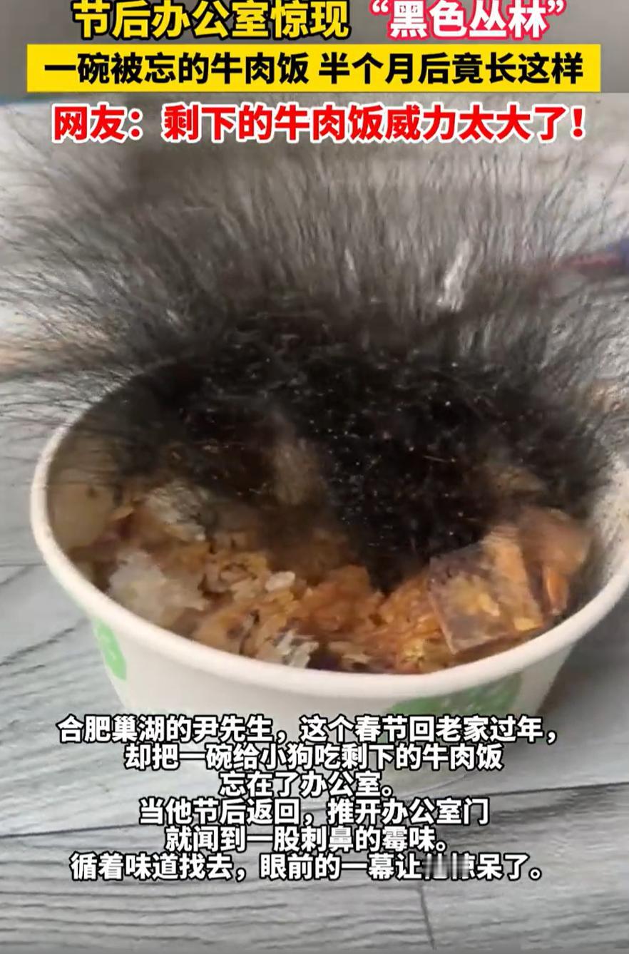 看呆了！安徽合肥，男子过完年返程上班，打开办公室后就闻到一股异味扑鼻而来，而当他