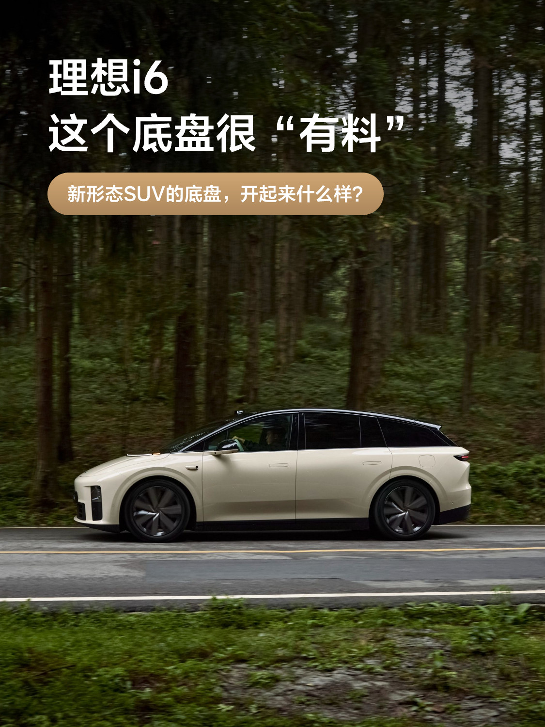 理想i6底盘信息释放了：●前双叉臂，后五连杆，全铝摆臂●可选双腔魔毯空气悬架，两