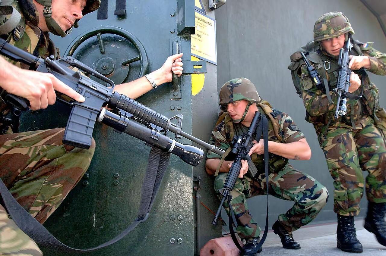 荷兰陆军图列。荷兰陆军