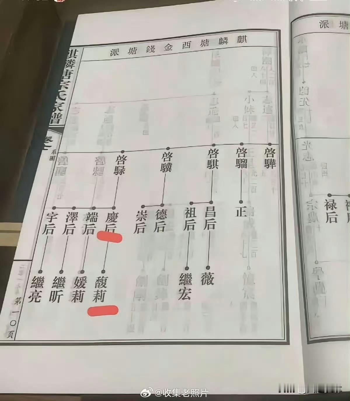 宗庆后的家谱，后人就宗馥莉一个。宗氏家谱上面写得明明白白。