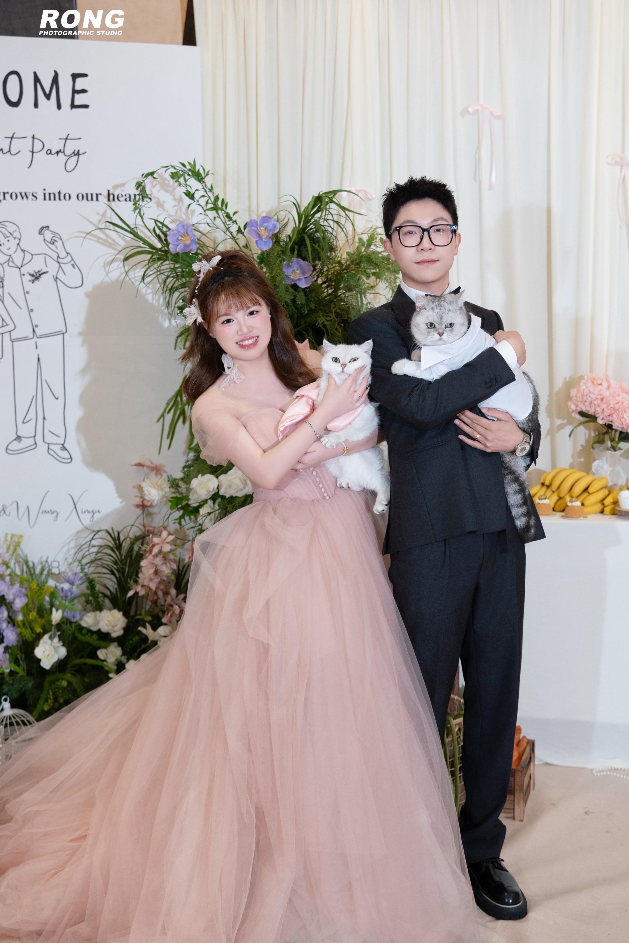 我的小猫陪我出嫁了。我总在想用什么文字来描述和你的相遇 但我的小猫用亲...