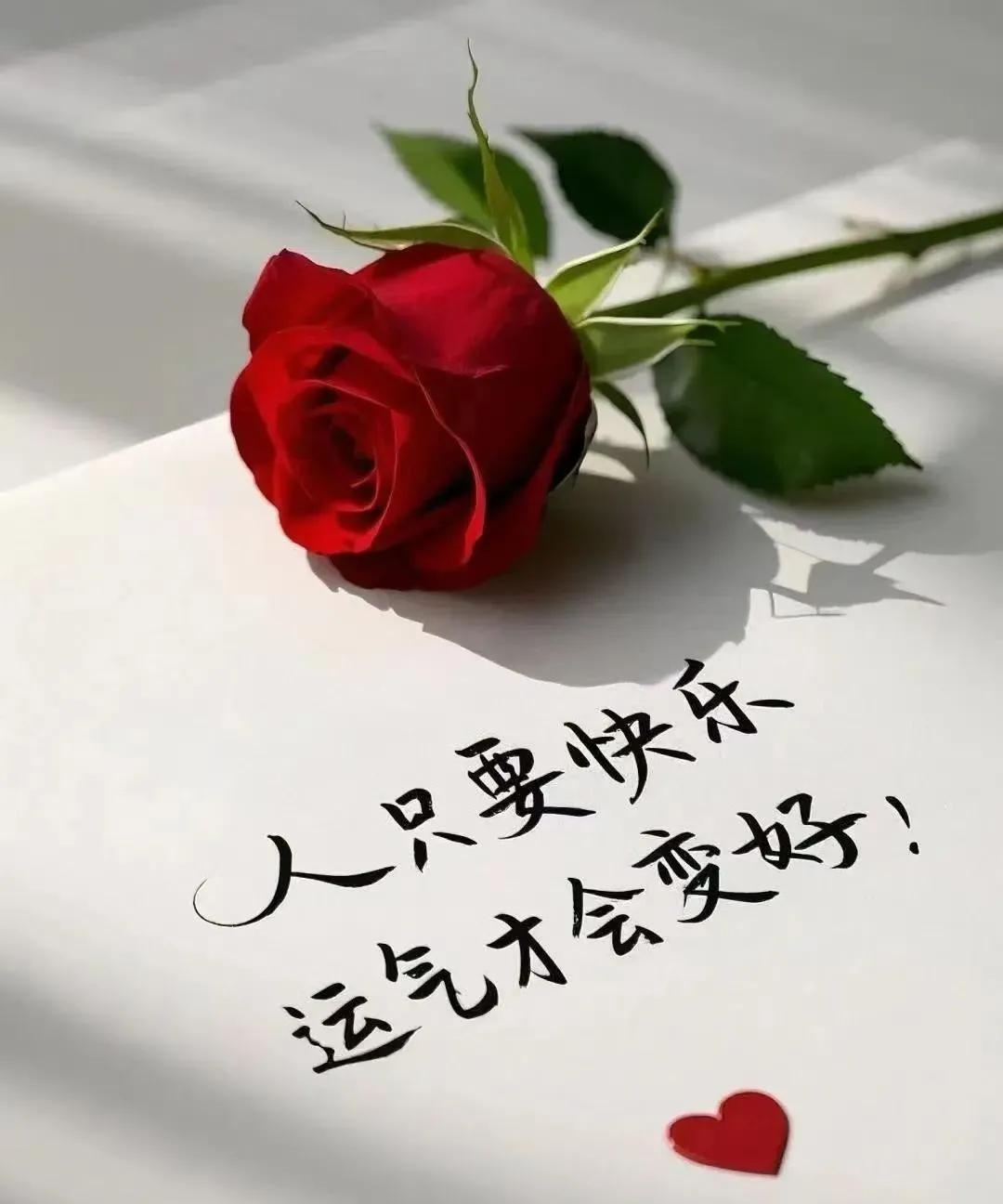#退休的领导还有必要联系么#退休的领导我不会再联系，包括同事都不会再联系。铁打的