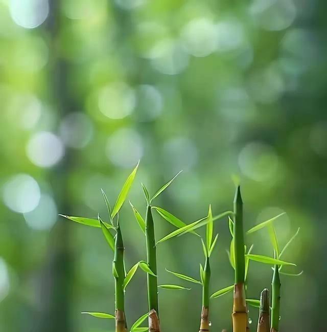 东晋末年，有这样一个人名叫桓温，他的发迹史很奇特，也很另类。由于他持刀杀了杀父仇