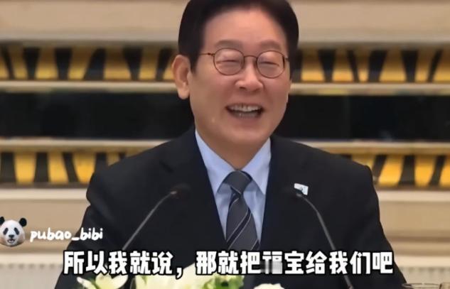 还想要大熊猫？李在明乐坏了！韩国已经有了四只熊猫，但他希望再租借一对放