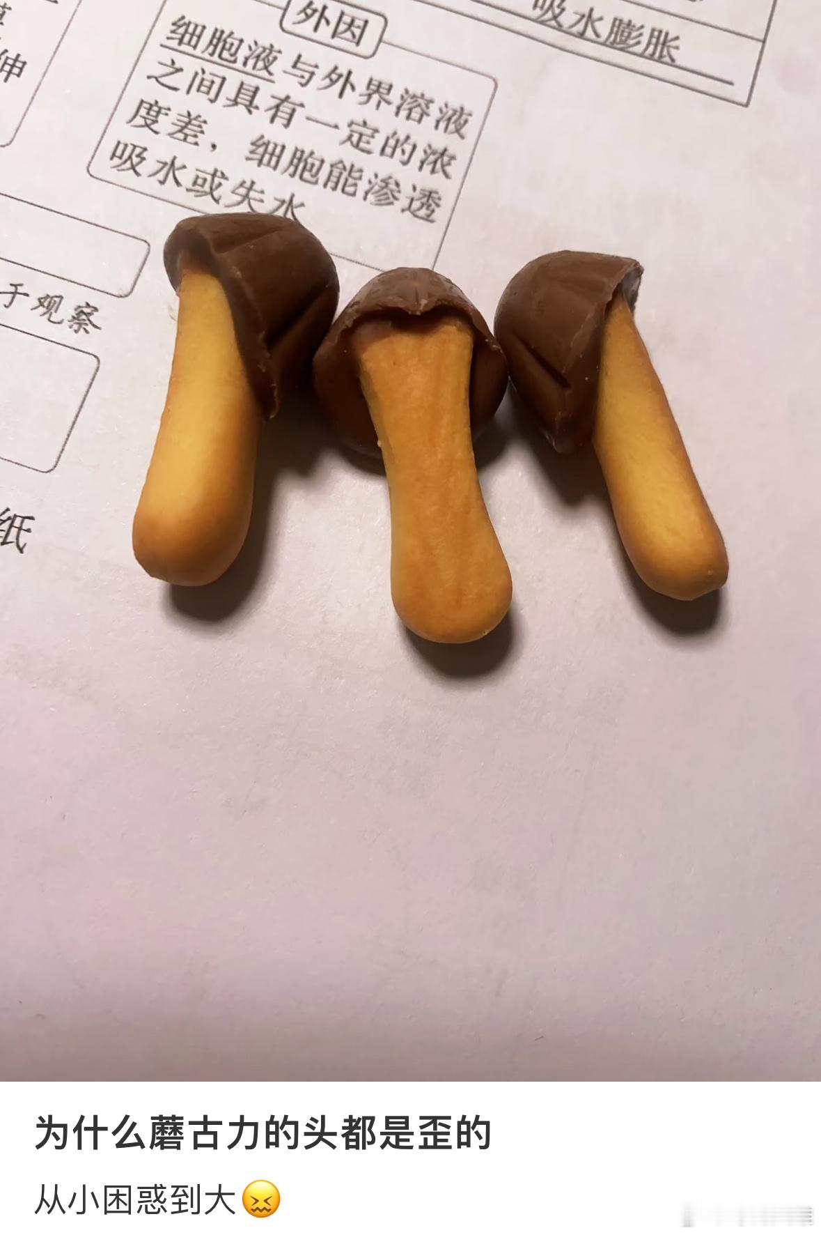 为什么蘑菇力的头是歪的……我草真的解惑了​​​